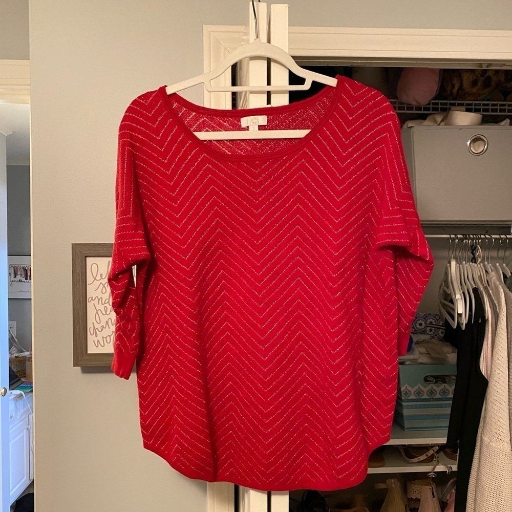 CHARMING Charlie Sweater